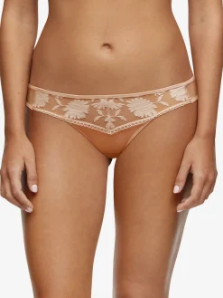 Santa Fé - String<Darjeeling Online