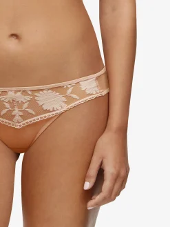Santa Fé - String<Darjeeling Online