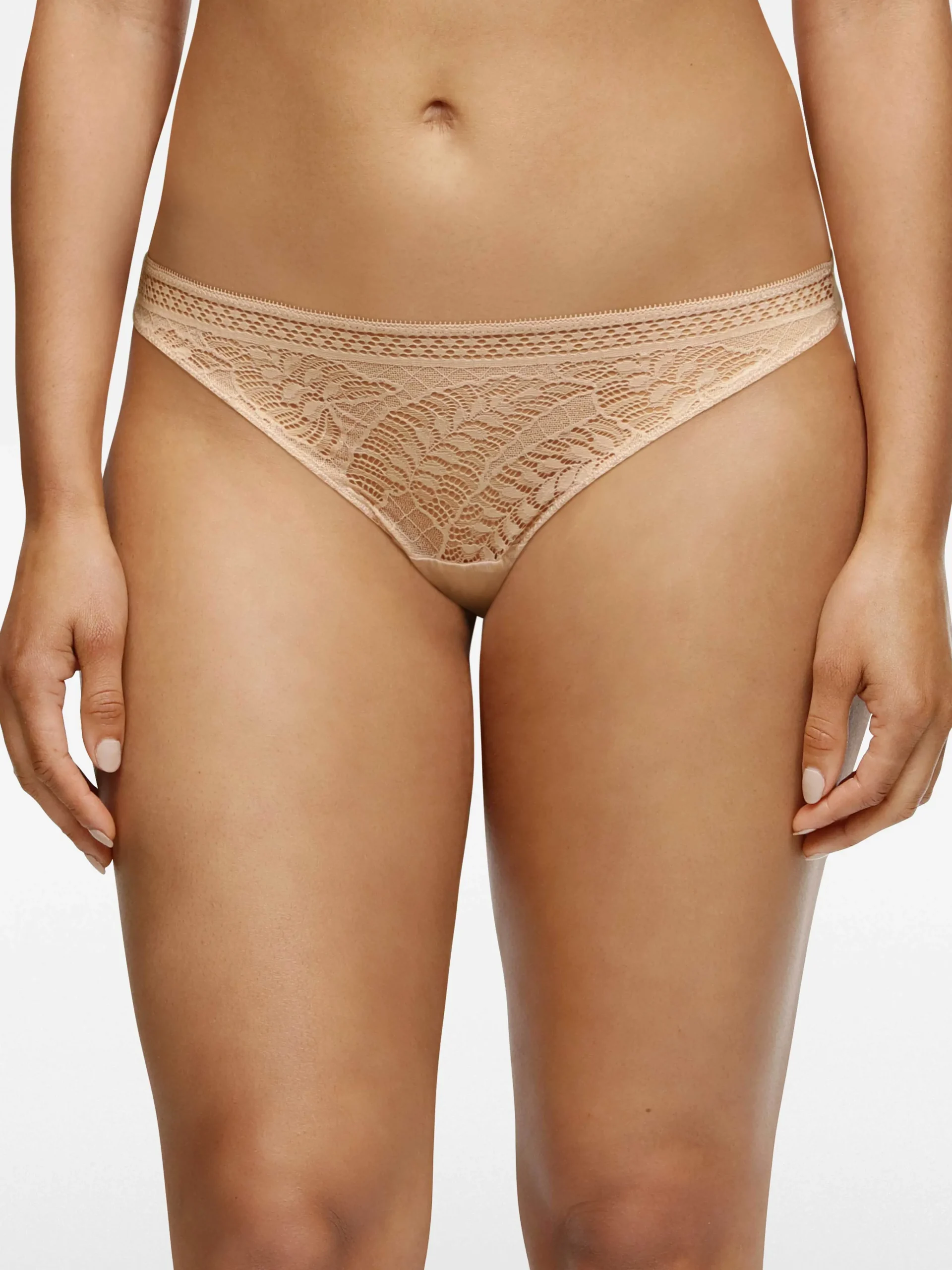 Victoria - String<Darjeeling New
